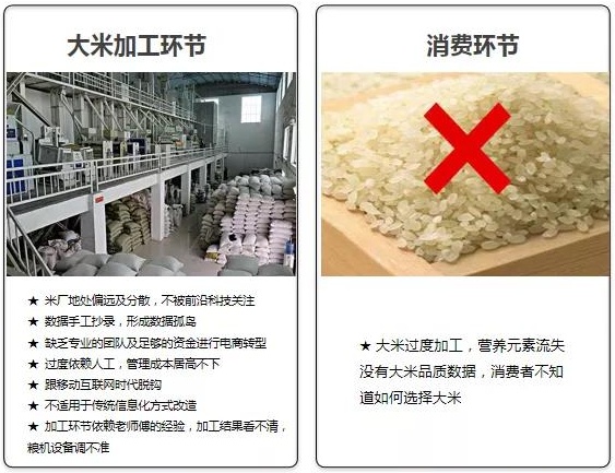 坤湛科技获首轮融资2000万美金后：携手杰曼科技助力大米数字化转型